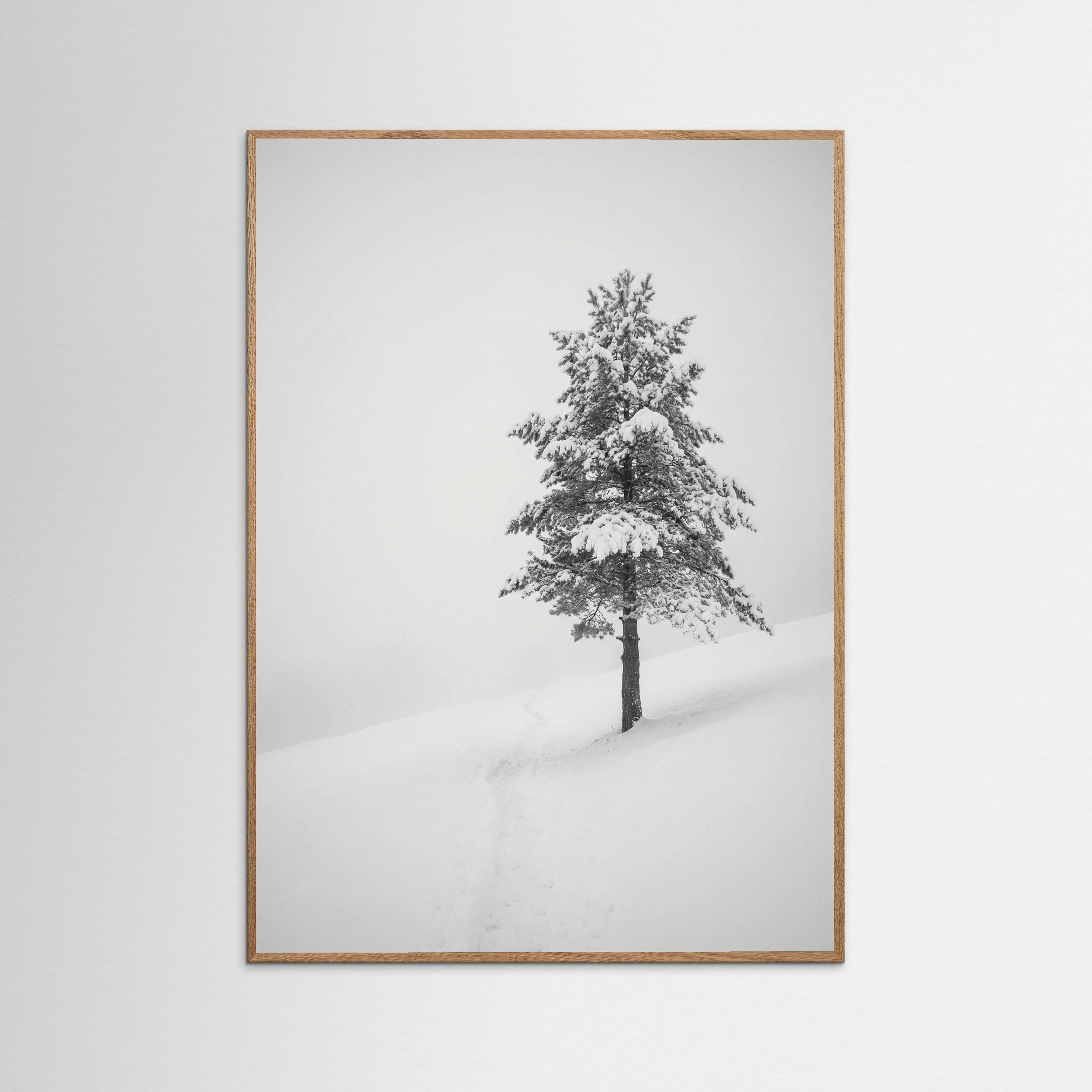 Oak Nature Winter Ascent