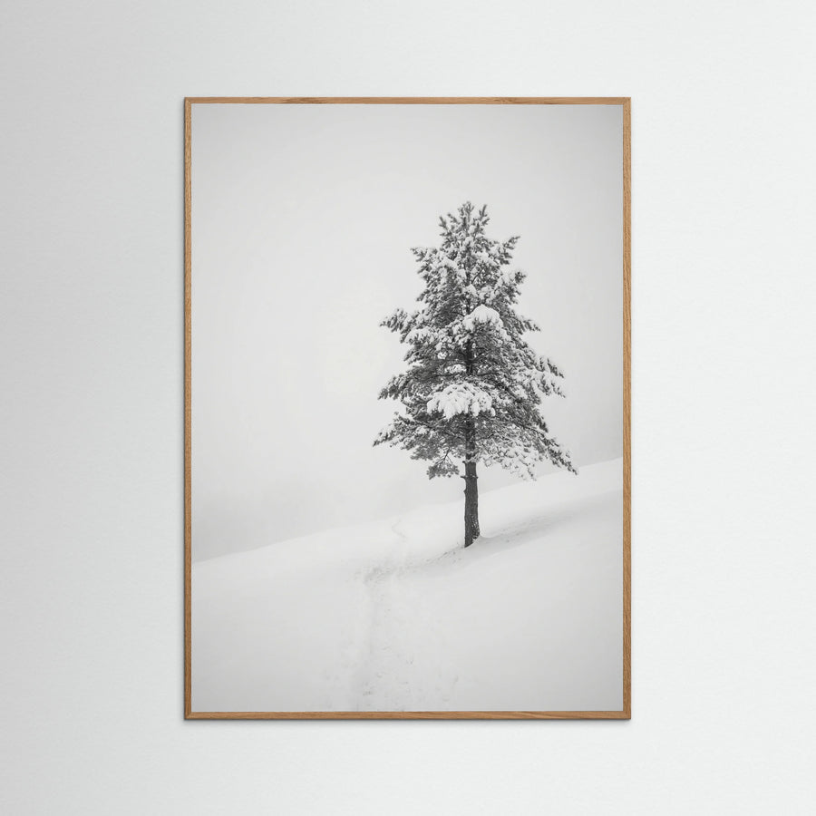 Winter Ascent