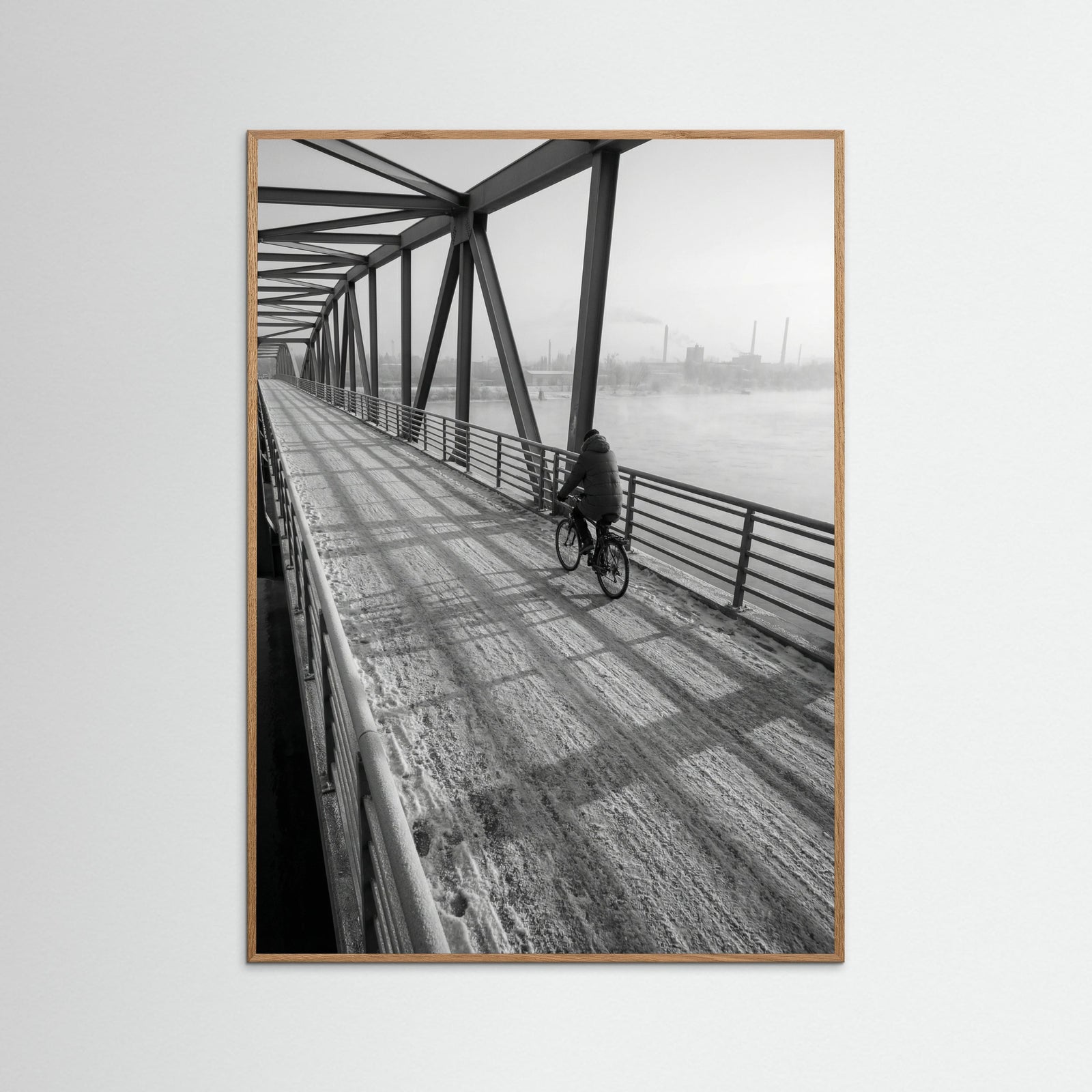 Oak Nature Winter Dawn Street