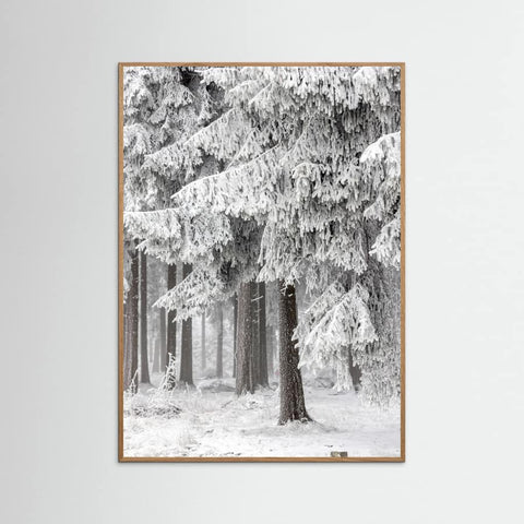 Oak Nature Winter Forest 2 Poster