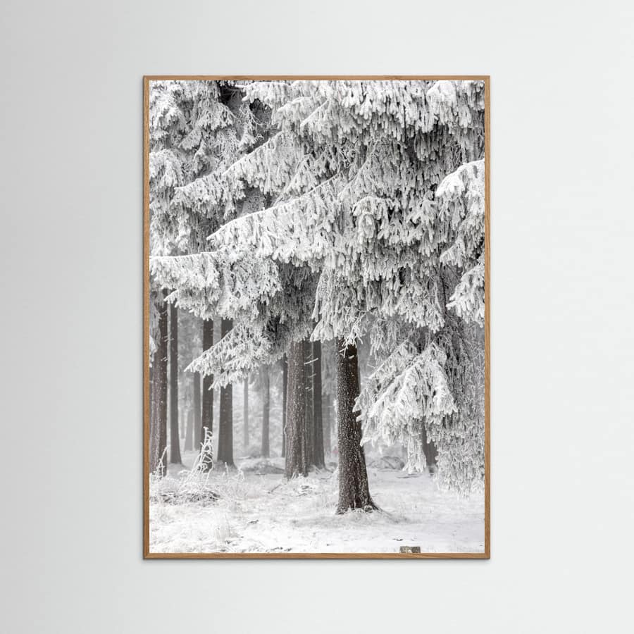 Winter Forest 2 Poster