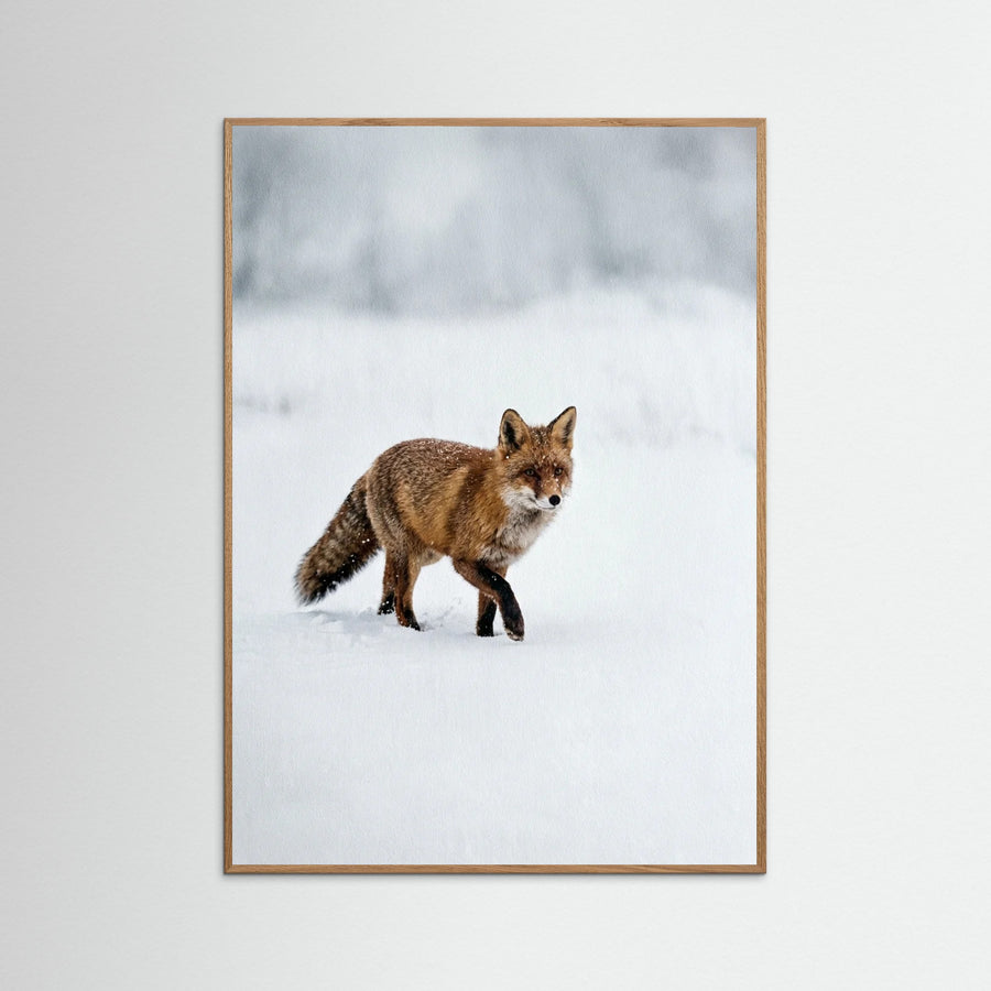 Winter Majesty