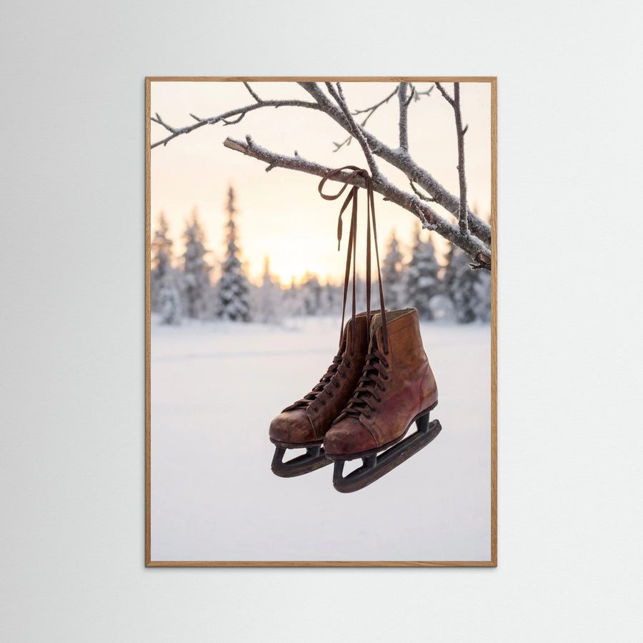 Winter Sled Serenity