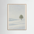 Oak Nature Winter Stillness