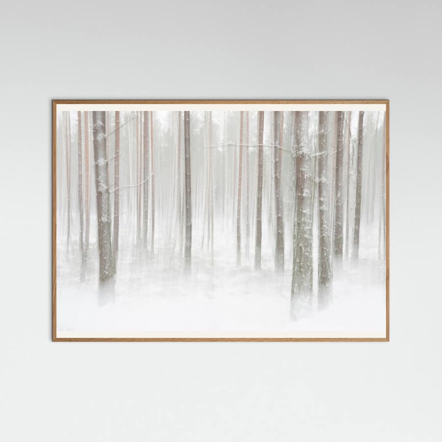 Plakat Winterforest in Sweden – plakat i druk artystyczny