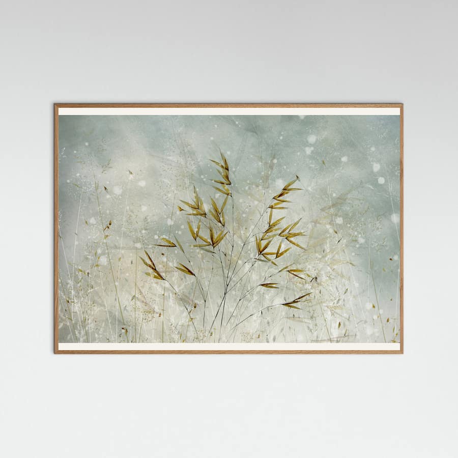 Plakat Wintertime