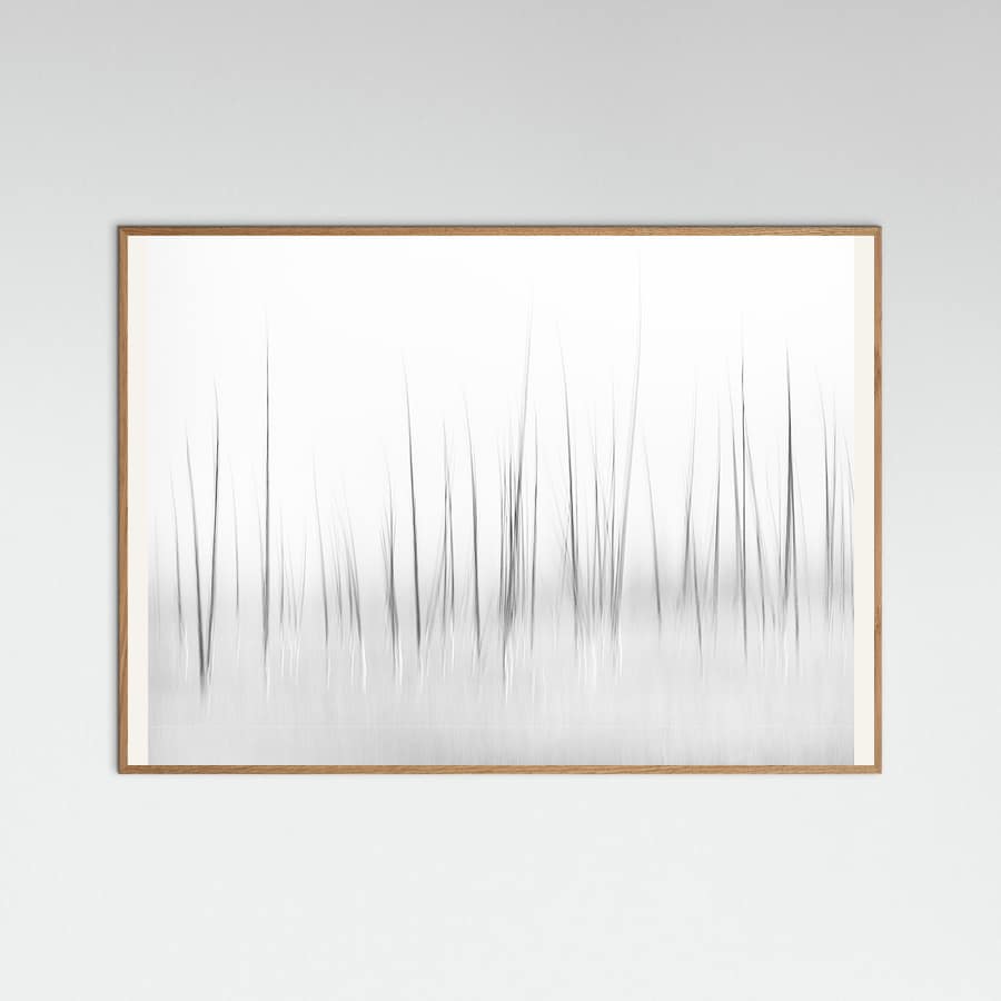 Plakat Wintry scenery in Yellowstone – plakat i druk artystyczny