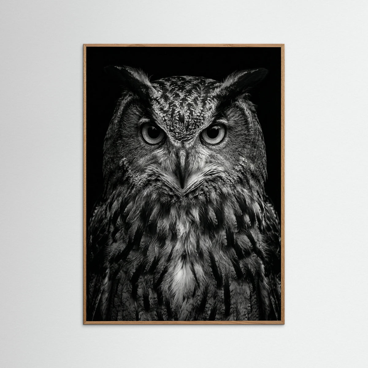 Oak Nature Wise Labrador