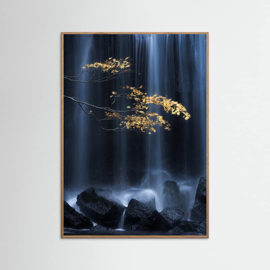 Yellow Autumn Poster