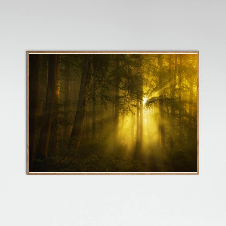 Yellow Poster