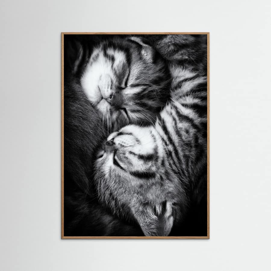 Yin and Yang Poster – poster and art print