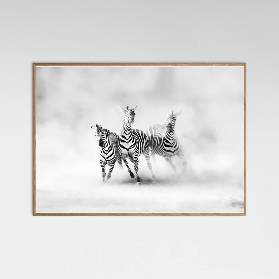 ZEBRAS Poster