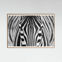 Oak Nature Zepra Poster