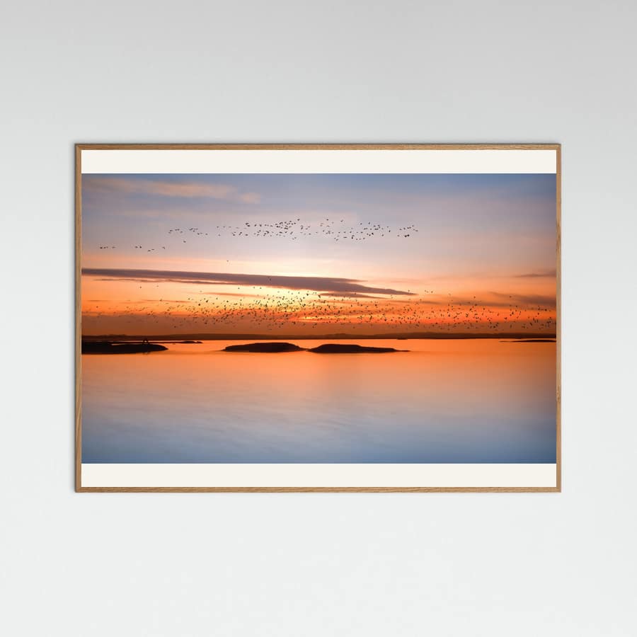 by sunset Poster – poster and art print
