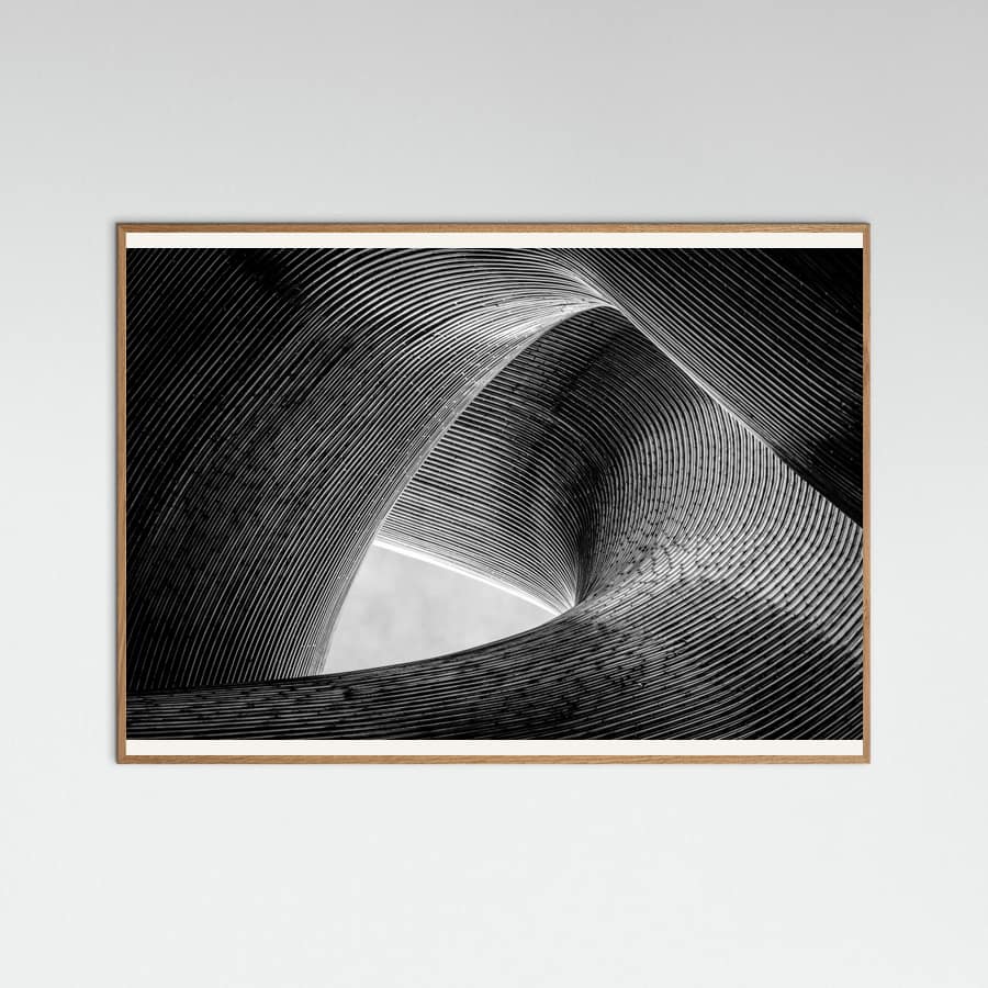 Plakat entwined – plakat i druk artystyczny