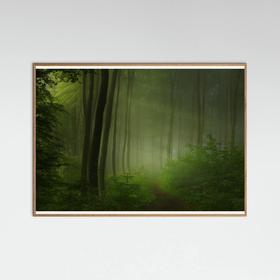 Plakat forest morning – plakat i druk artystyczny