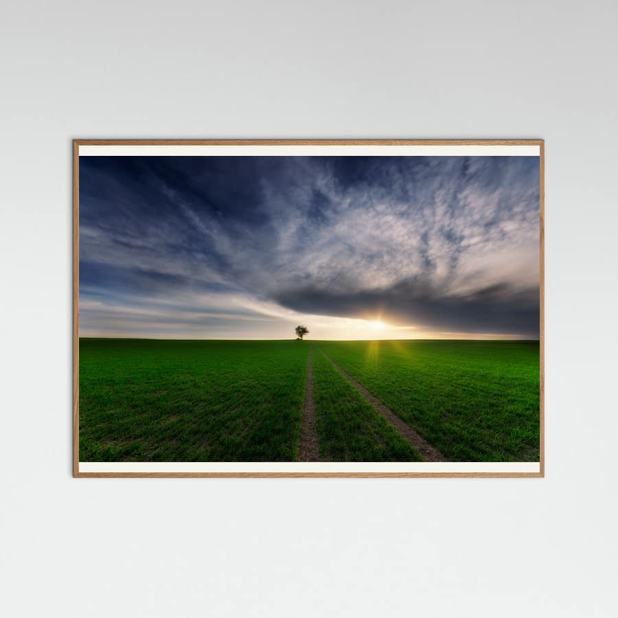 loner in the sun Poster – Poster und Kunstdruck