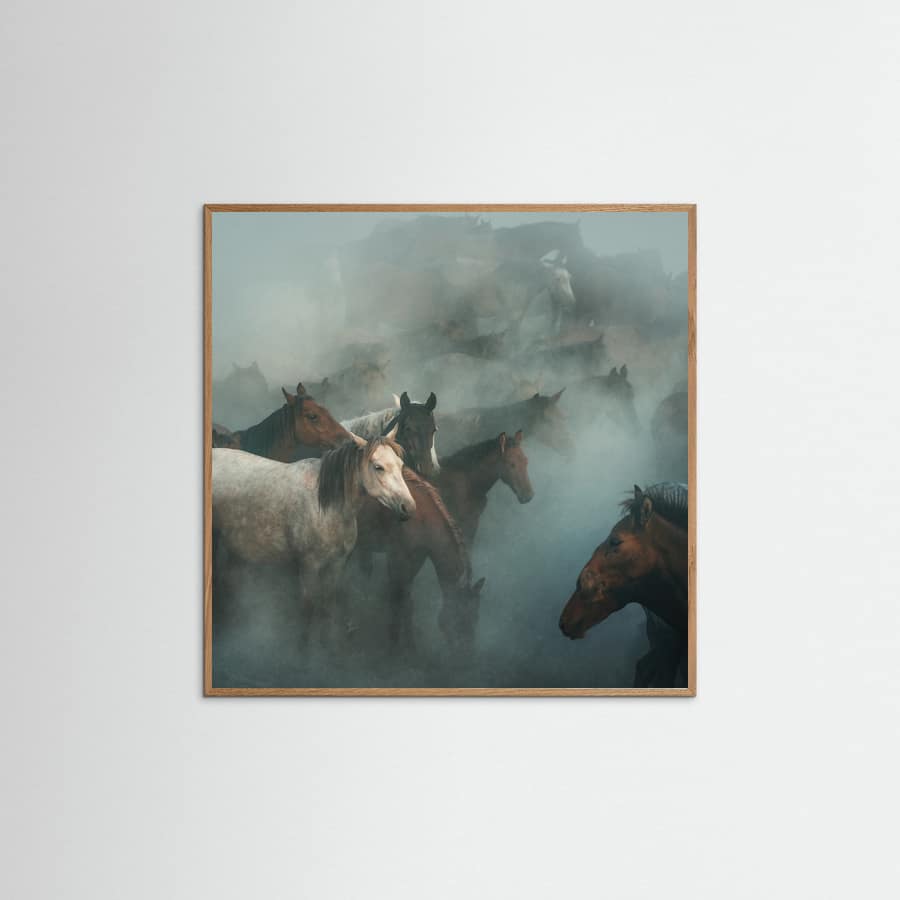 lost horses Poster – Poster und Kunstdruck
