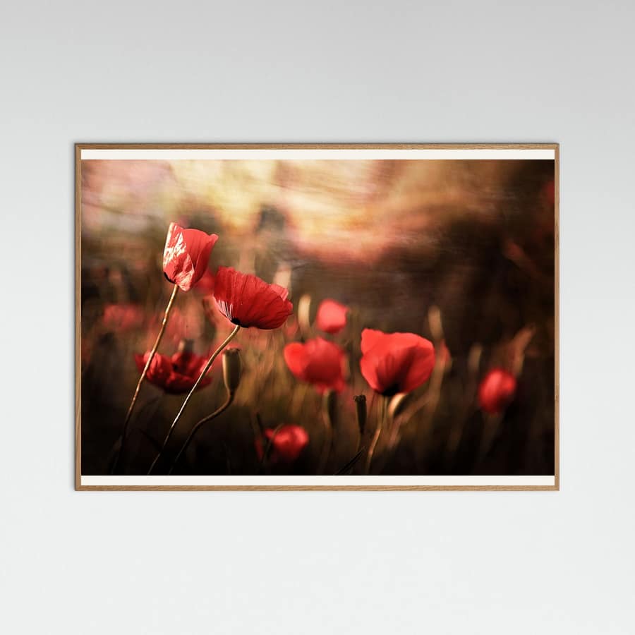 morning air -juliste – juliste ja taidepainatus