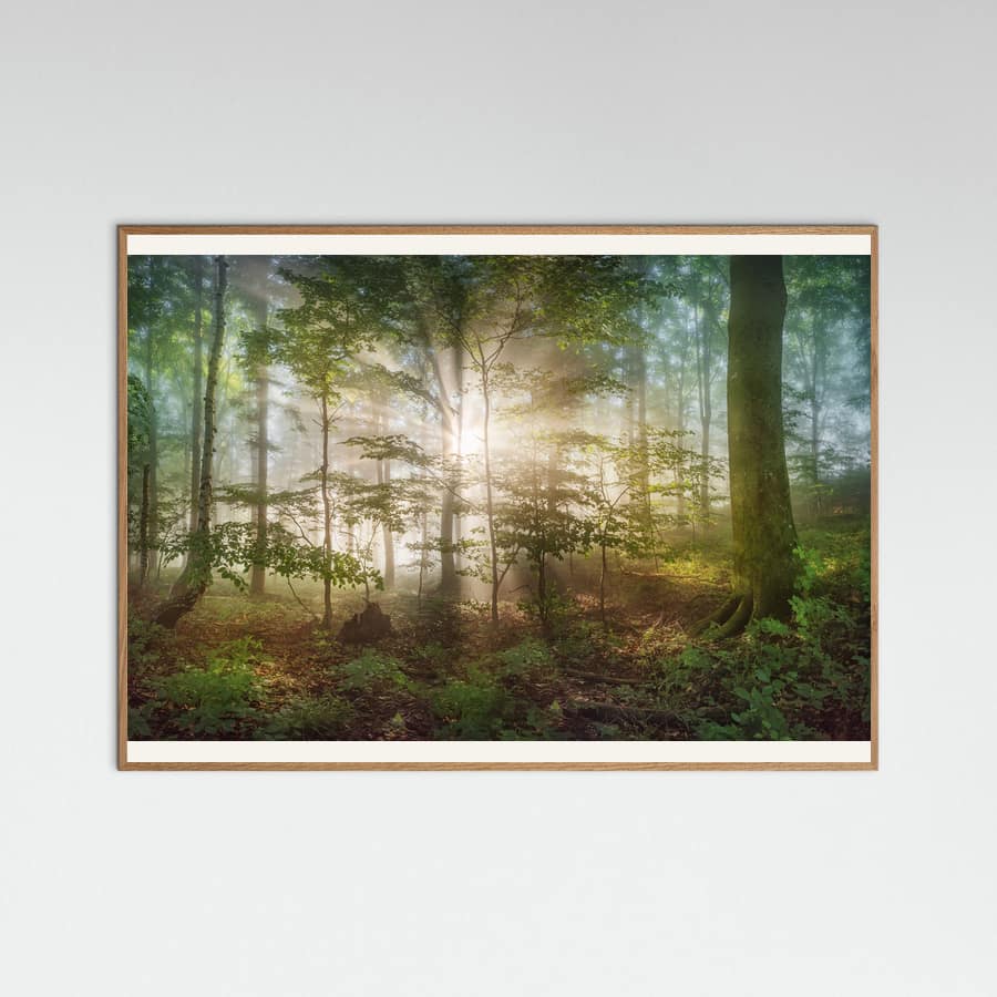 Plakat morning sun – plakat i druk artystyczny