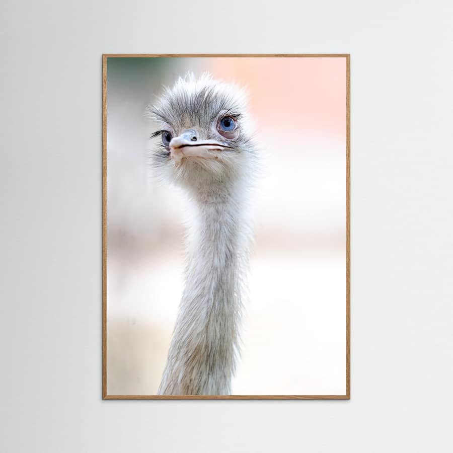 natural beauty Poster – poster and art print