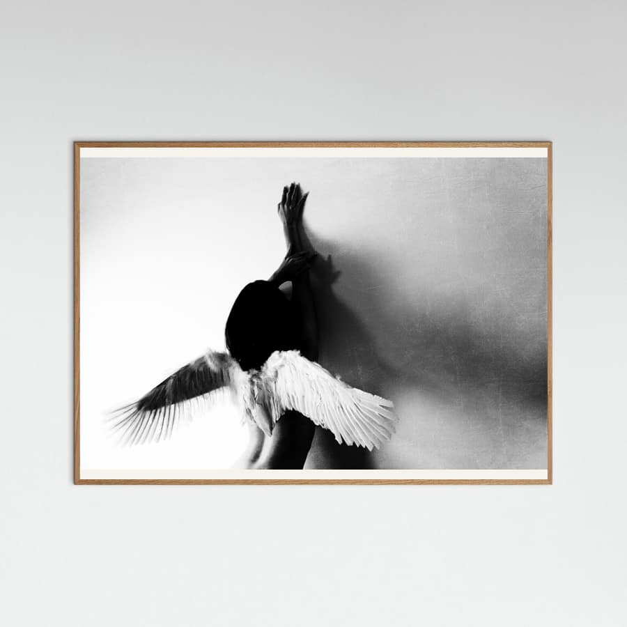 not fly -juliste
