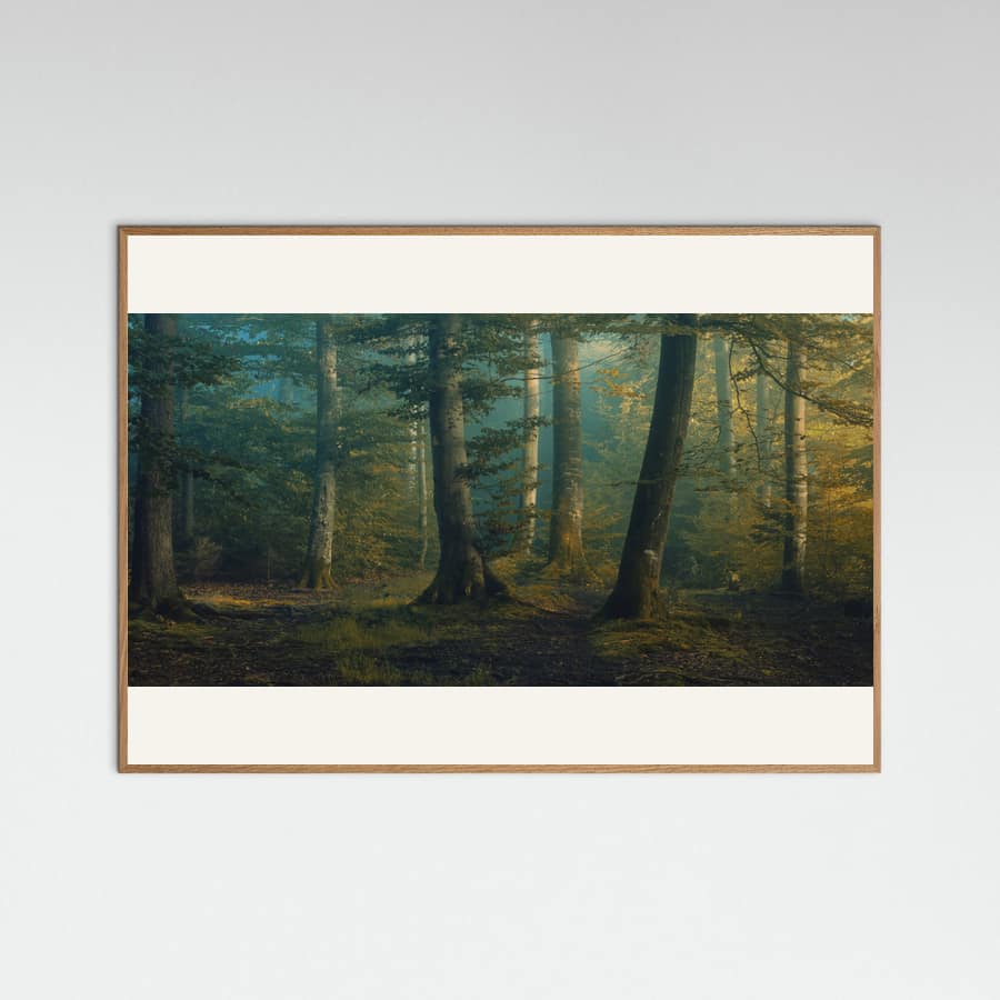 october colors Poster – plakat og kunsttryk