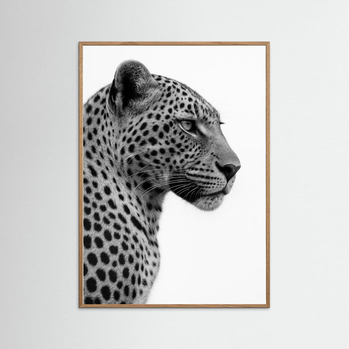 Oak Nature photo Leopard Profile