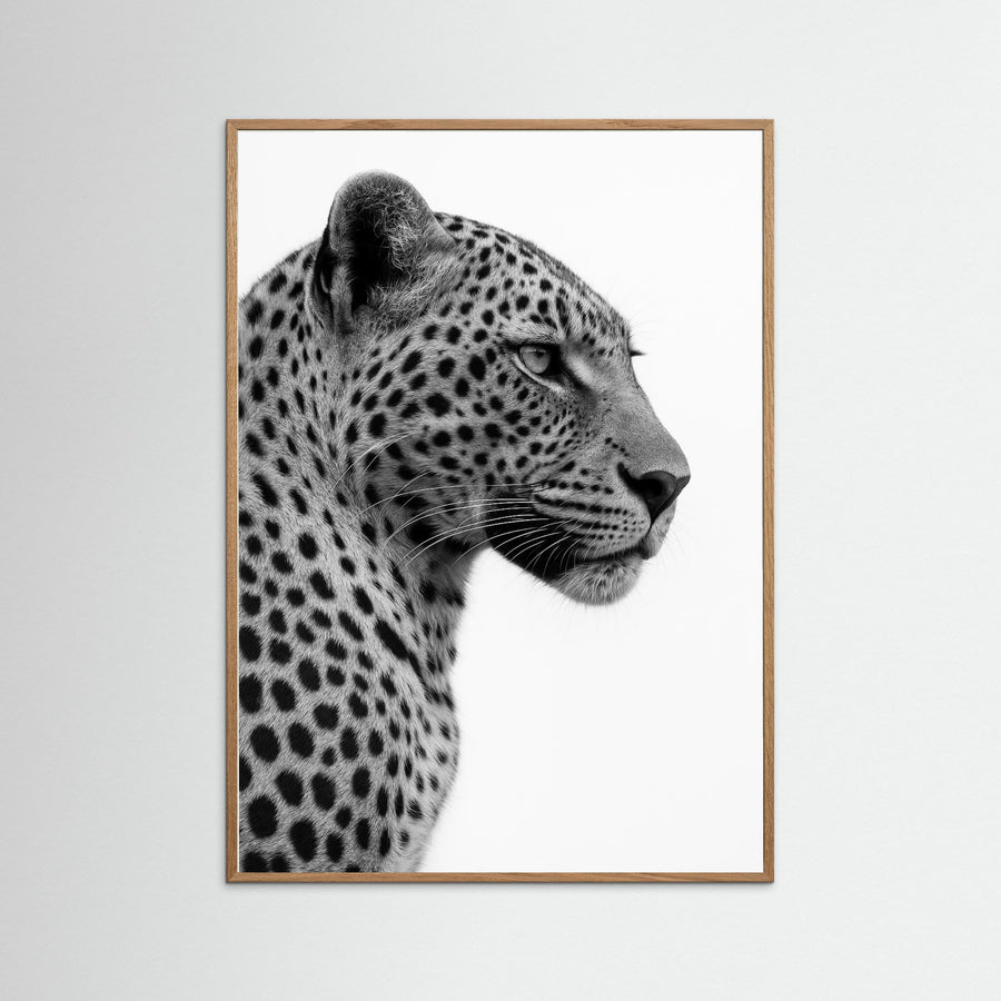 photo Leopard Profile
