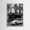 Oak Nature photo Parisian Cafe Scene
