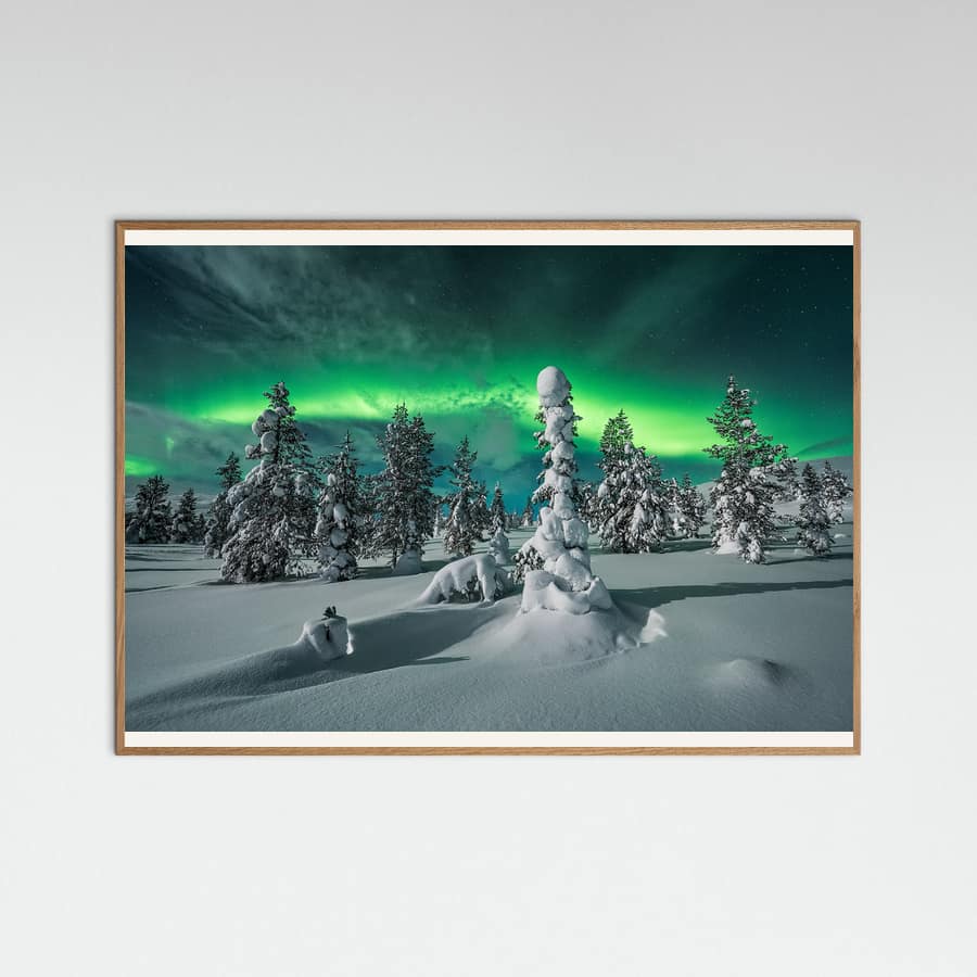 Plakat polar night