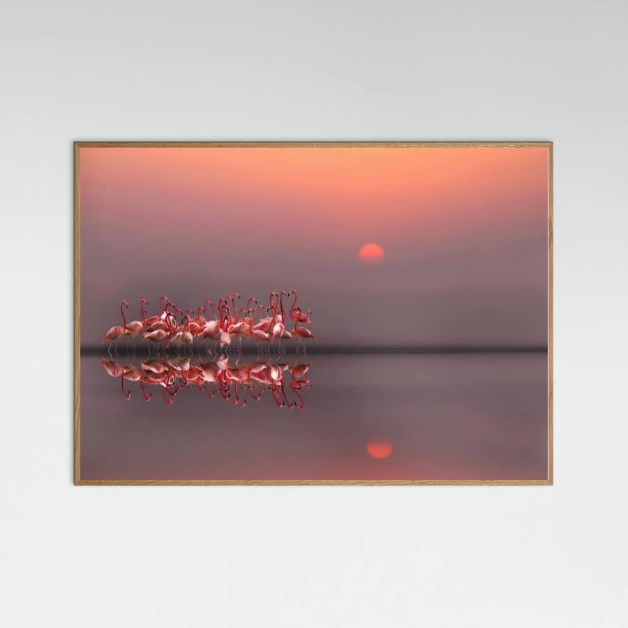 Affiche purple sunset – affiche et impression d’art
