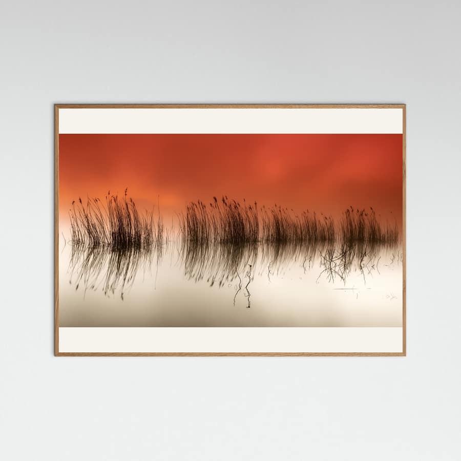 Plakat serenity