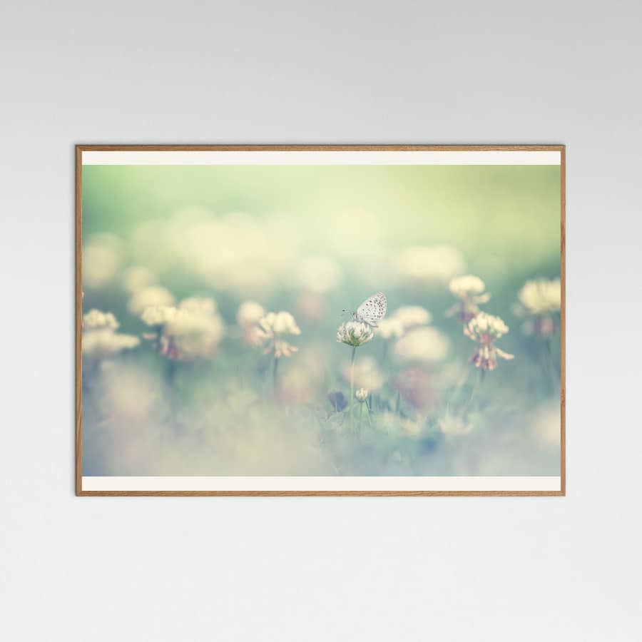 small world -juliste