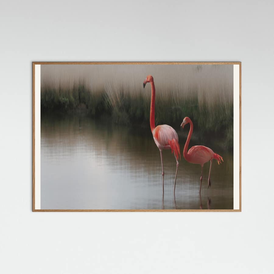 so zen ... Poster