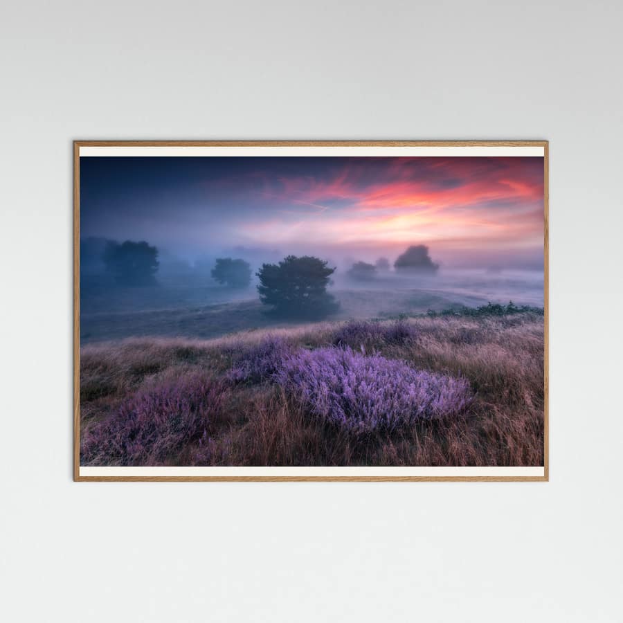 "the colors of heather" Poster