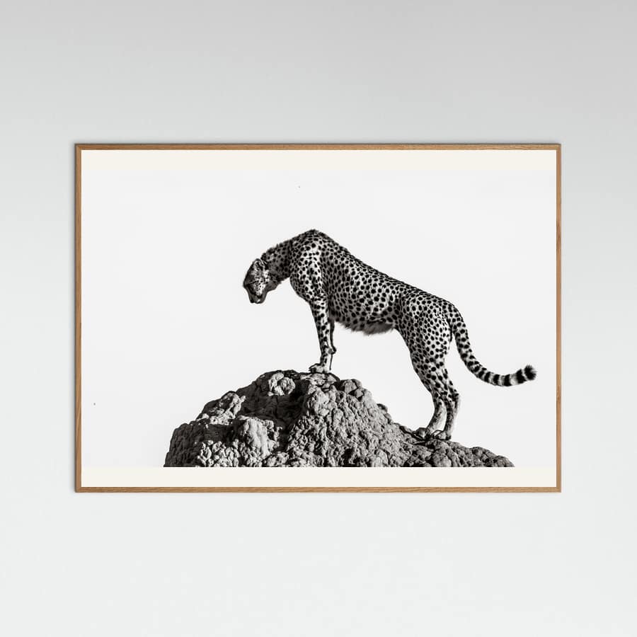 the hunter Poster – poster and art print