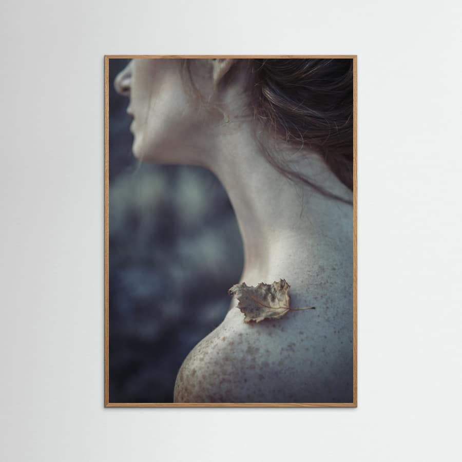 the leaf Poster – Poster und Kunstdruck