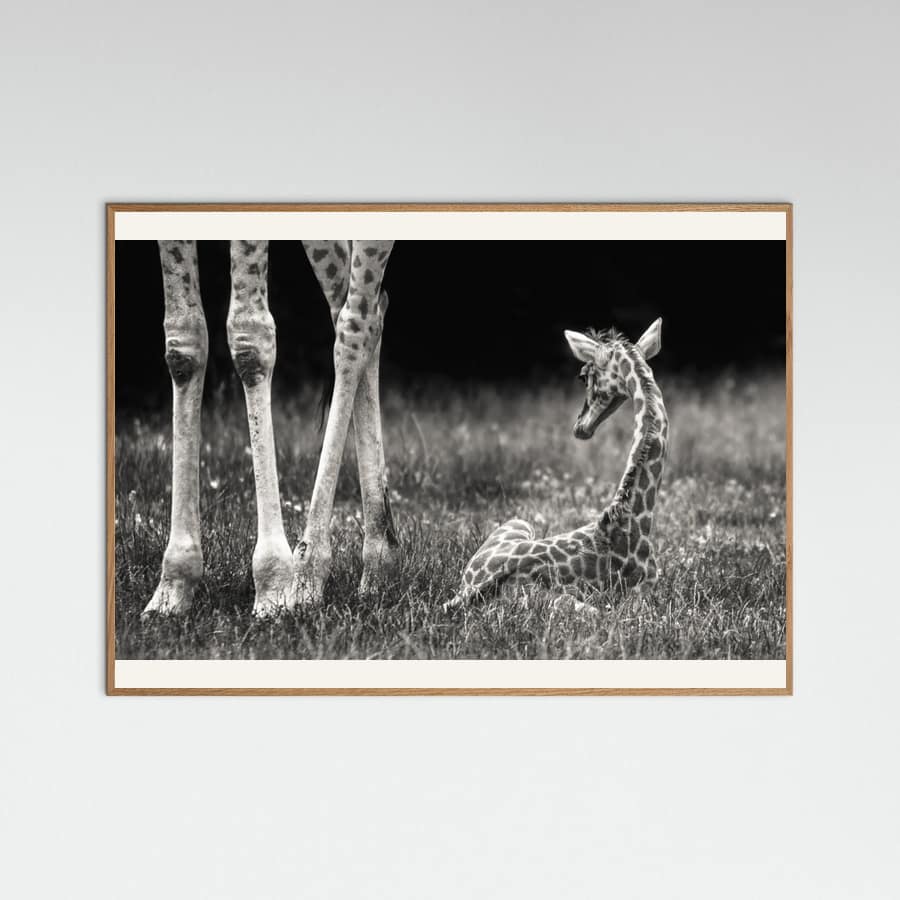 well protected Poster