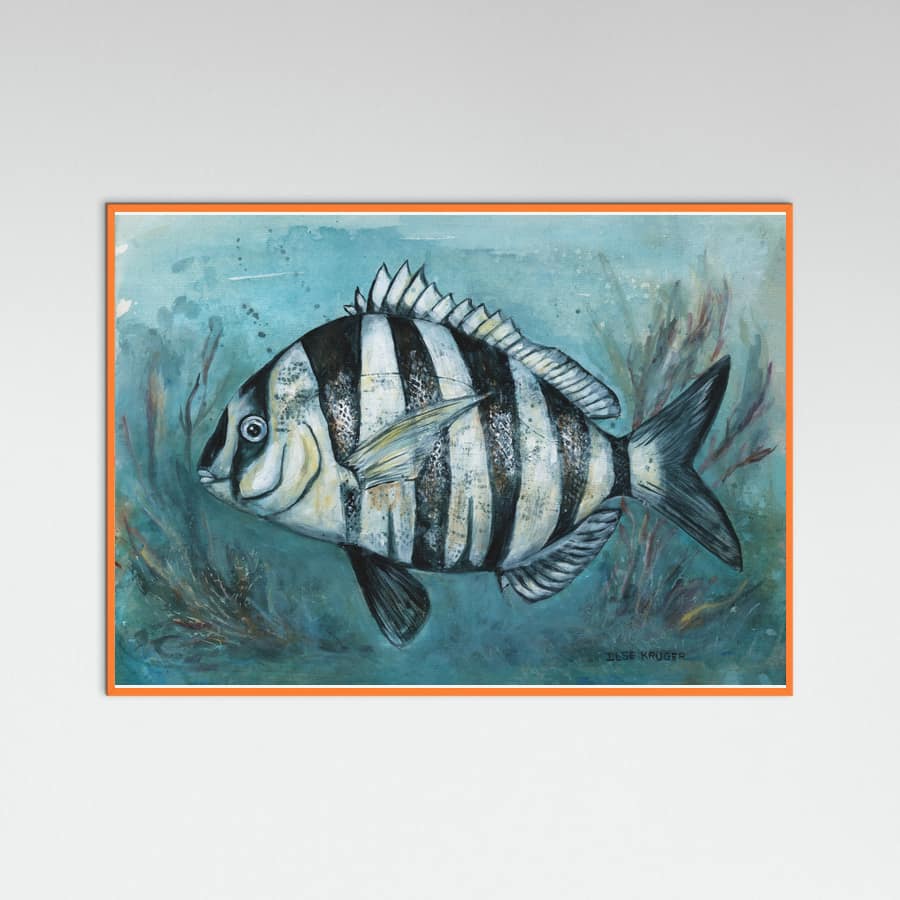 240 Zebra Master Poster – Poster und Kunstdruck