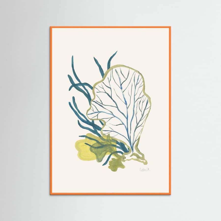 Algae No1 Poster – poster and art print