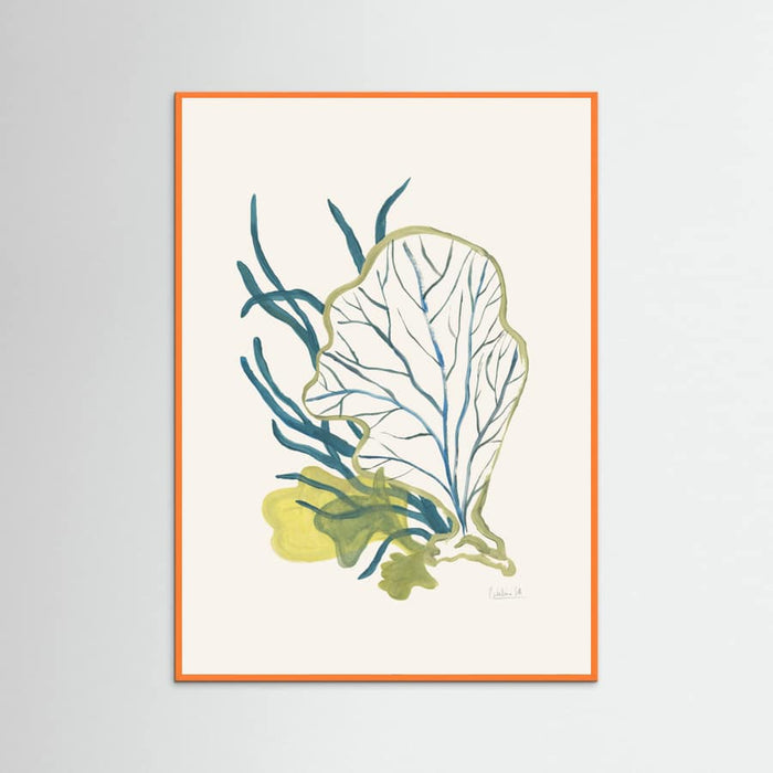 Algae No1 -juliste – juliste ja taidepainatus