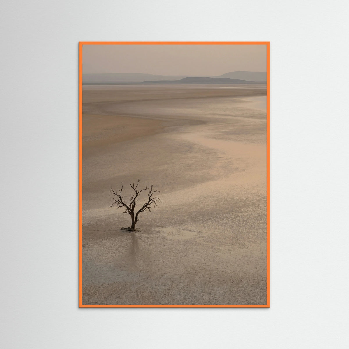 Orange Wood Arid Horizon