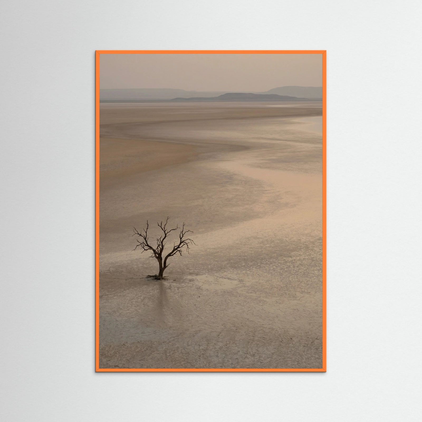 Orange Wood Arid Horizon