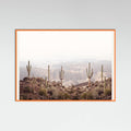 Arizona Valley Poster – plakat og kunsttryk