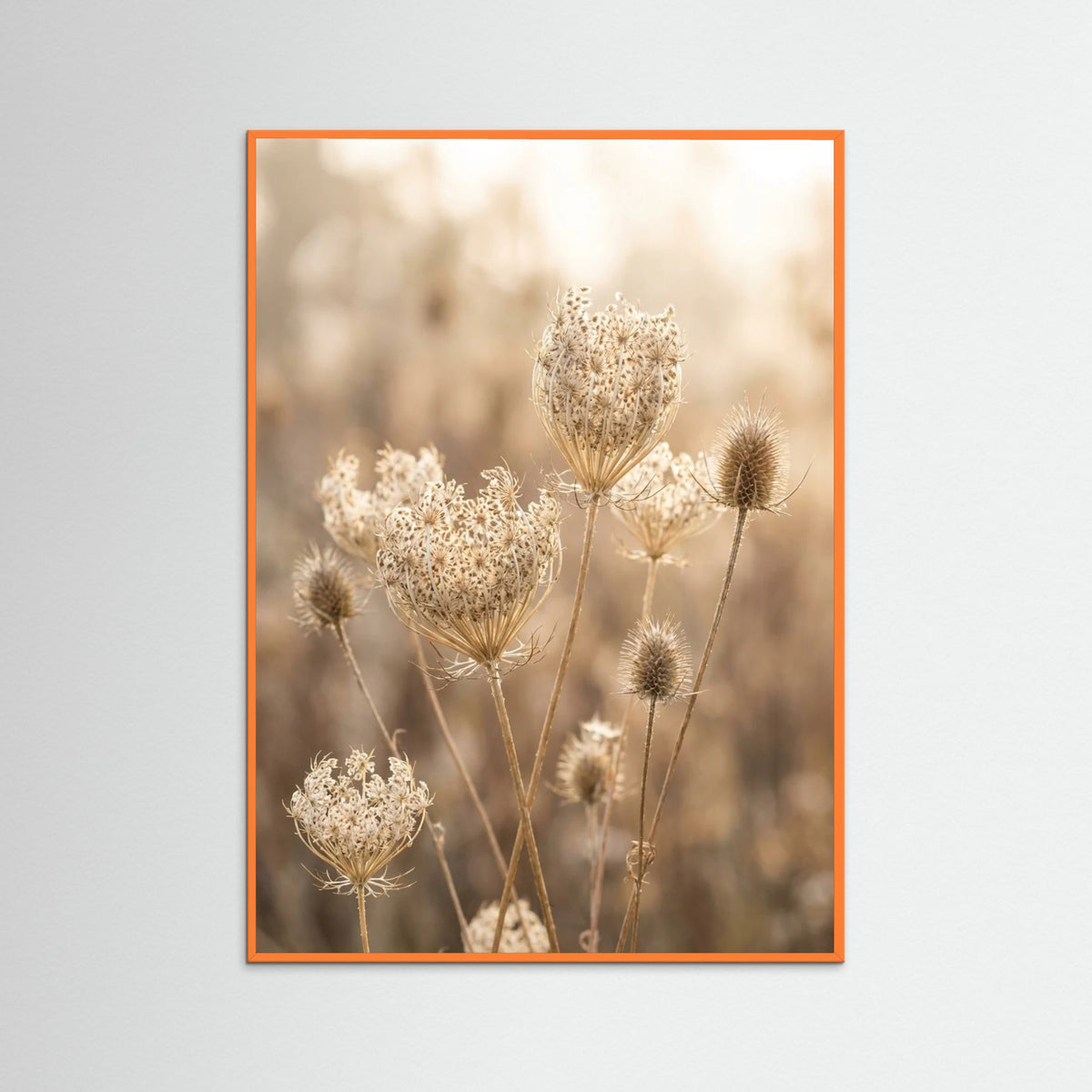 Orange Wood Autumn Whispers