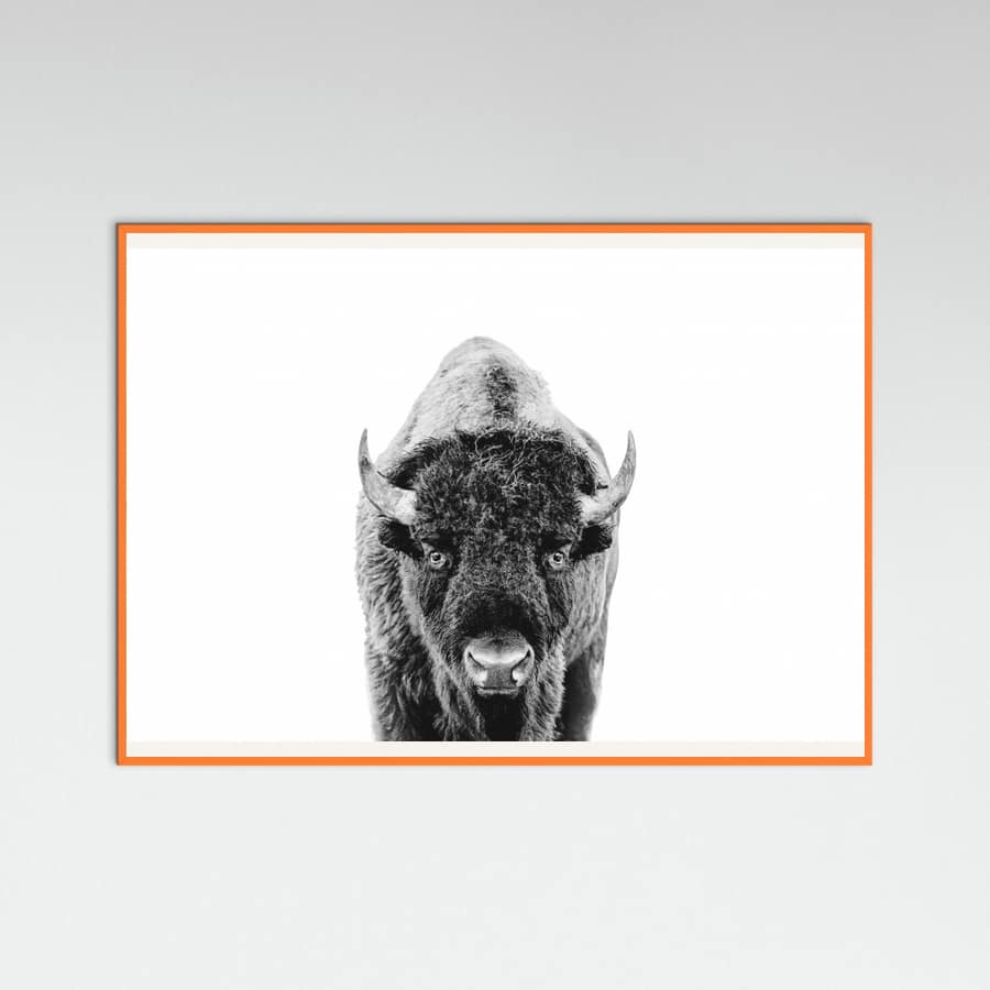 Póster Bison Bw – póster e impresión artística