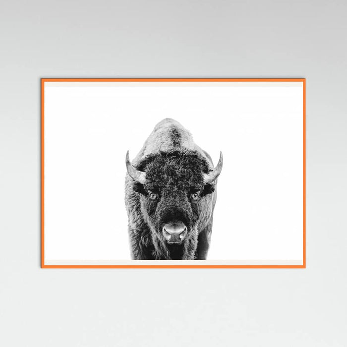Póster Bison Bw – póster e impresión artística