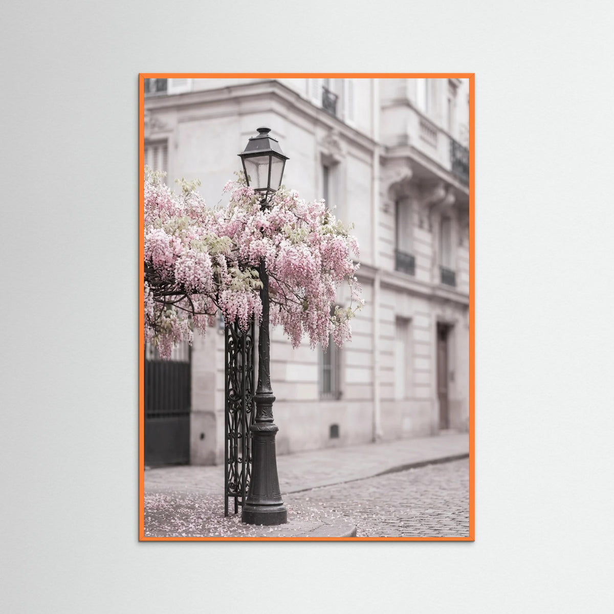 Orange Wood Blossom Balcony