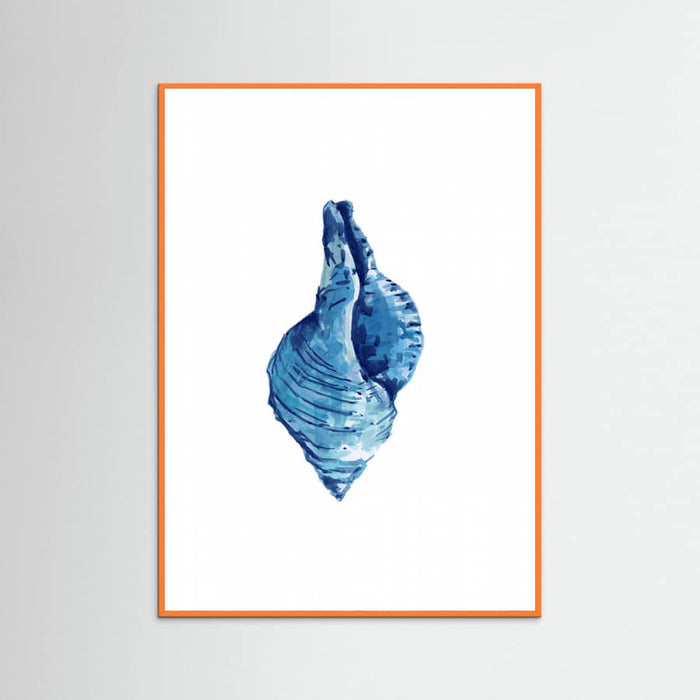 Affiche Blue Seashell On White Background No3 – affiche et impression d’art